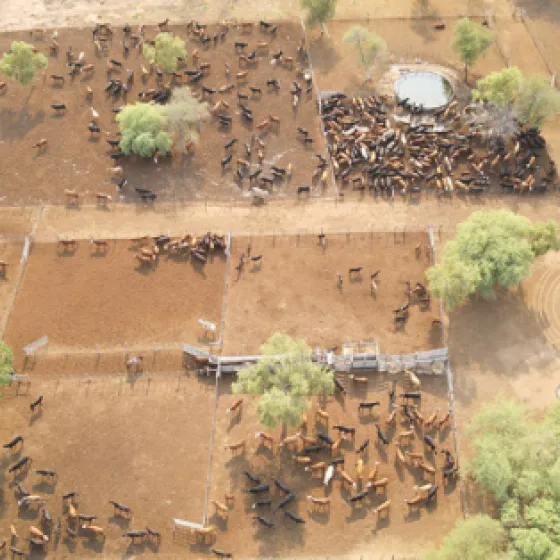 Bombeo solar en Cap. Pagé - Salta