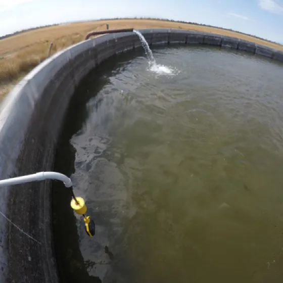 Bombeo Solar en La Buen Agua